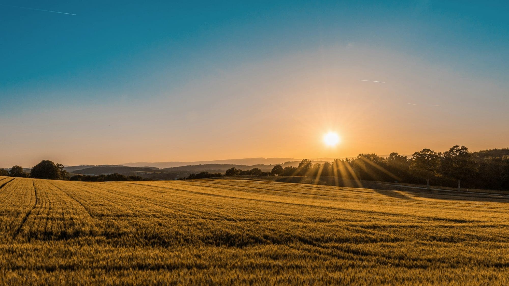 Open land at sunrise